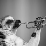 Blowing the Trumpet for Brass