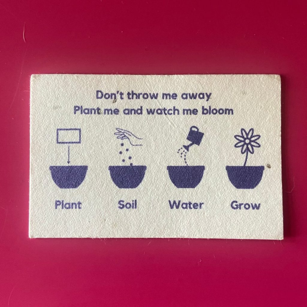 Back of the slightly lumpy card that has planting instructions in purple with images for each; plant, soil, water, grow. 