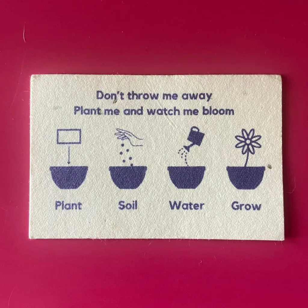 Back of the slightly lumpy card that has planting instructions in purple with images for each; plant, soil, water, grow.